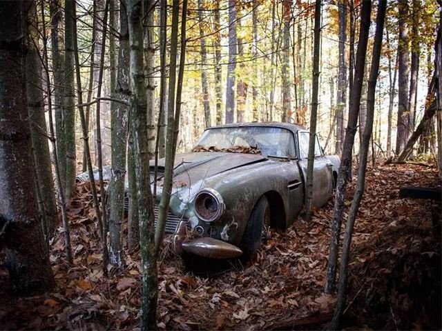 This Aston Martin DB4 Was Left To Rust In The Woods For Nearly 50 Years