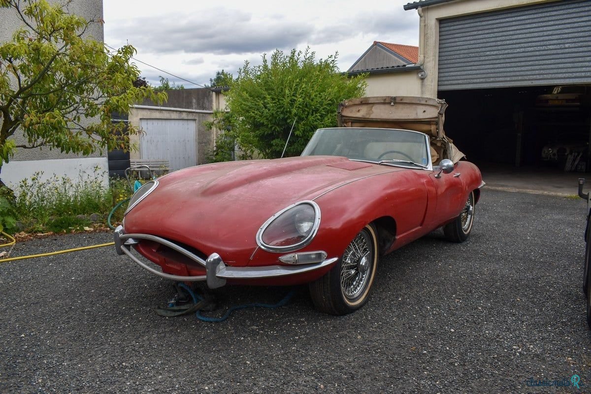 1961' Jaguar E-Type photo #1