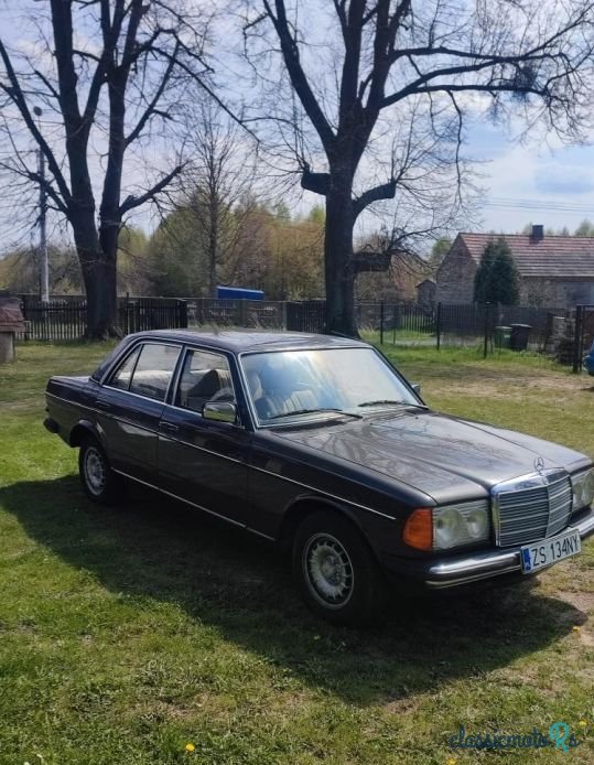 1978' Mercedes-Benz W123 photo #3