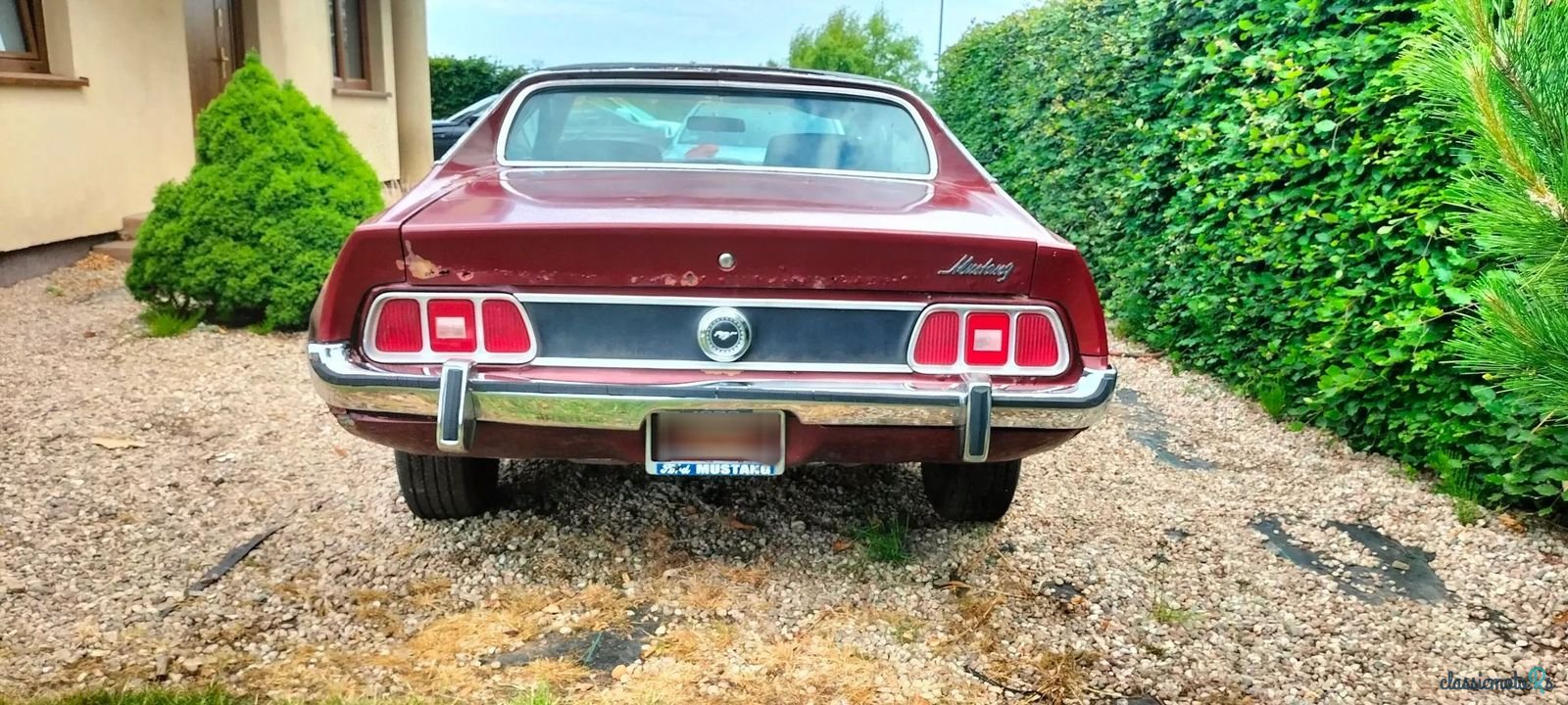 1973' Ford Mustang photo #3
