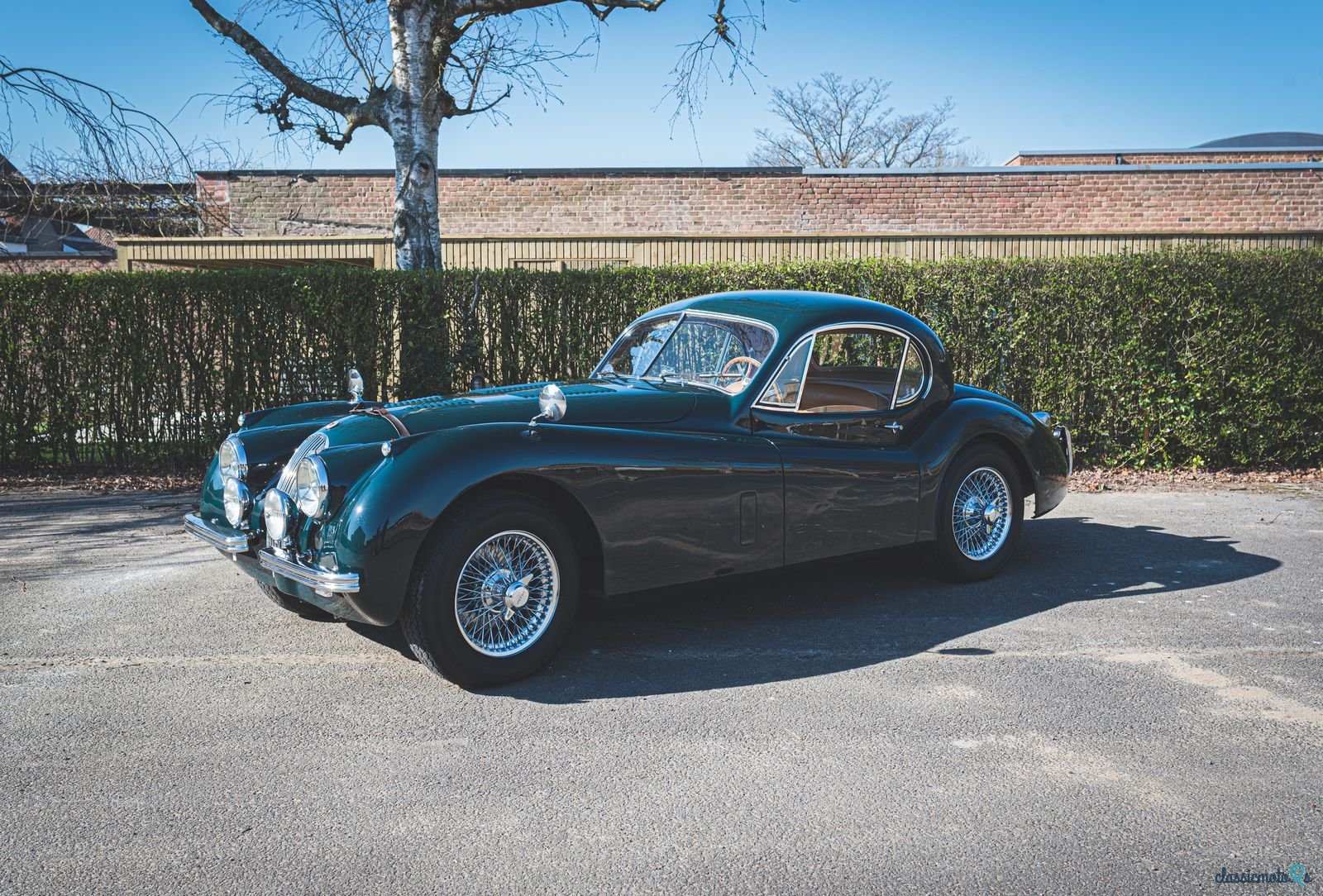1954' Jaguar Xk120 Fhc photo #1