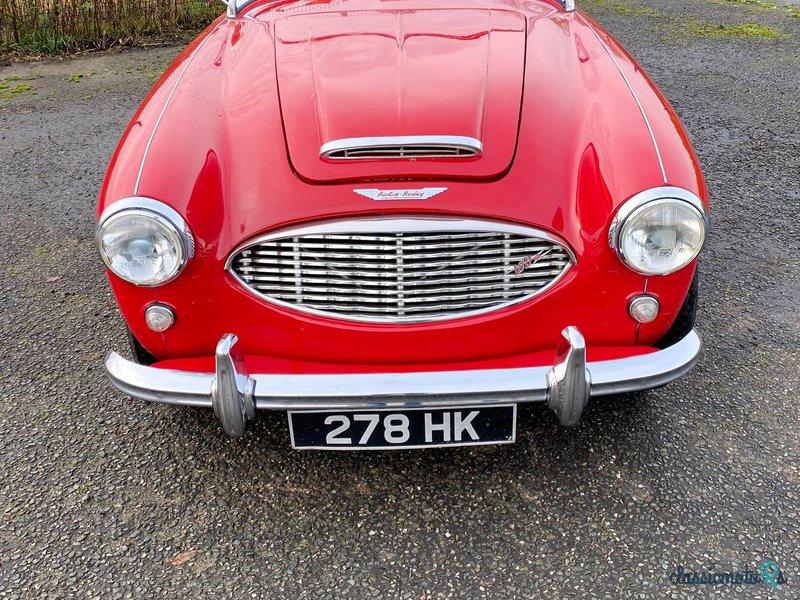 1957' Austin-Healey 100-6 photo #2