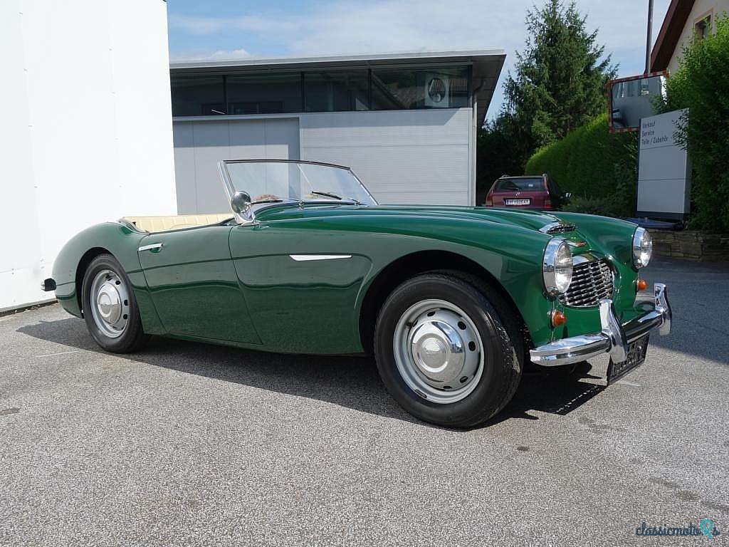 1957' Austin-Healey photo #2