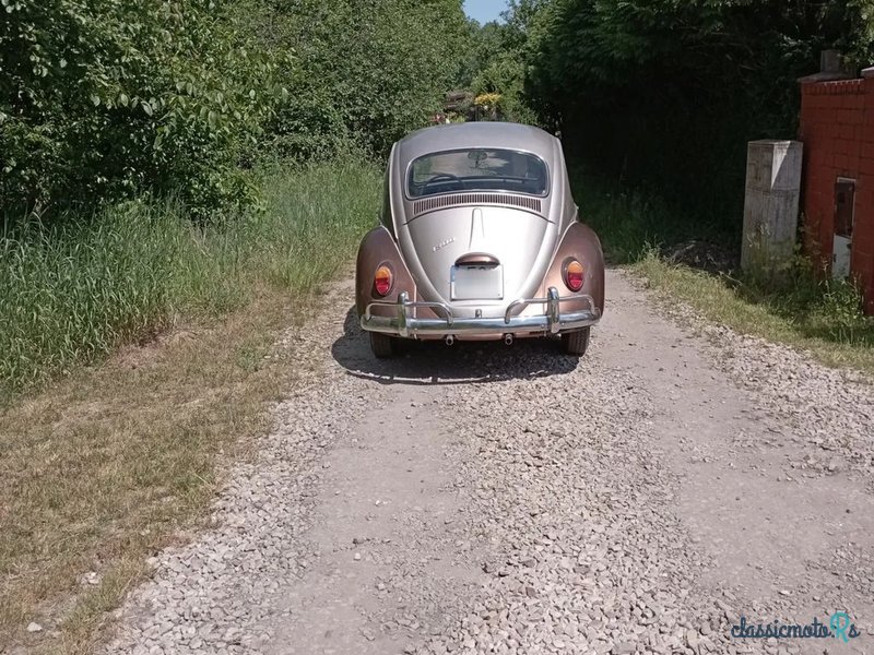 1969' Volkswagen Garbus photo #3