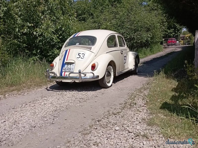 1966' Volkswagen Garbus photo #2