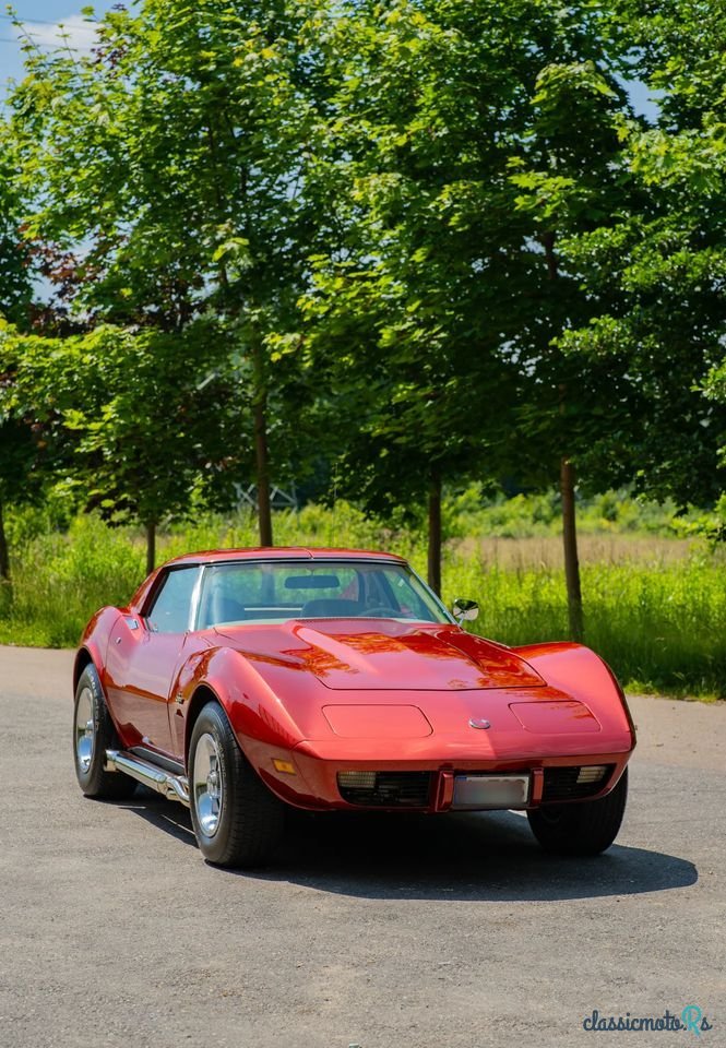 1975' Chevrolet Corvette photo #2