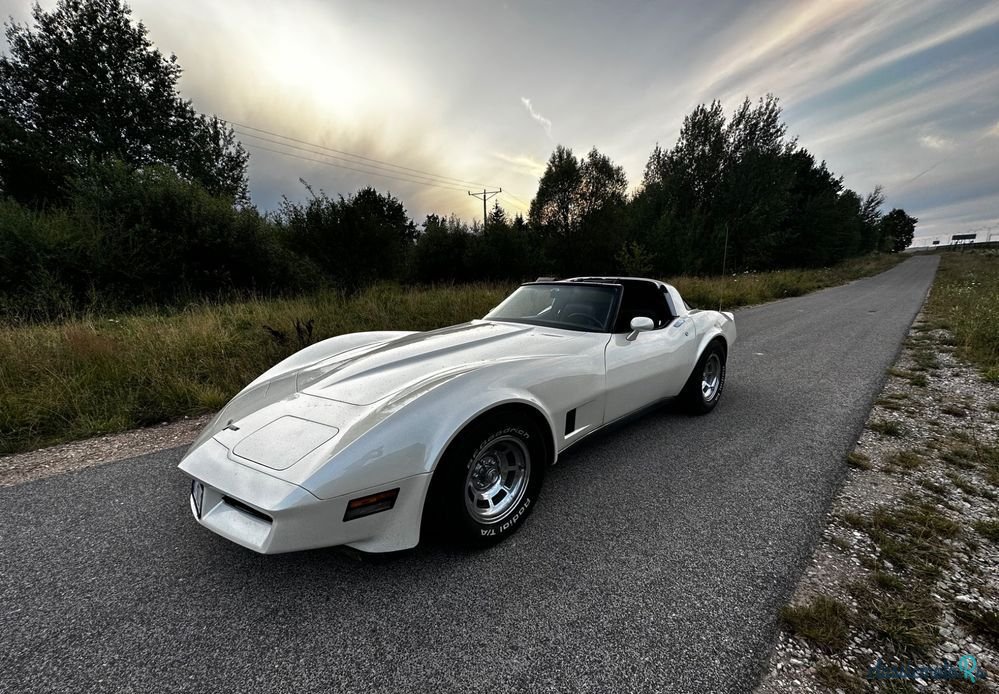 1980' Chevrolet Corvette photo #1