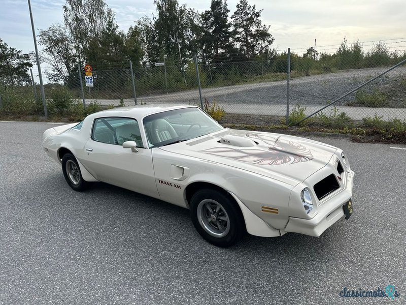 1976' Pontiac Firebird photo #5