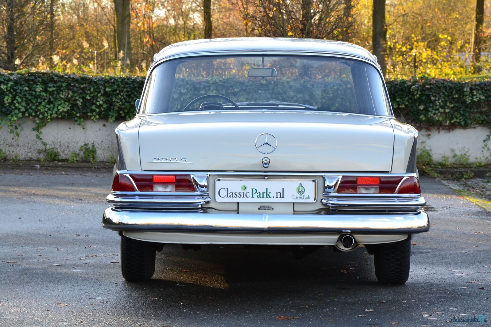 1961' Mercedes-Benz 220 S photo #4