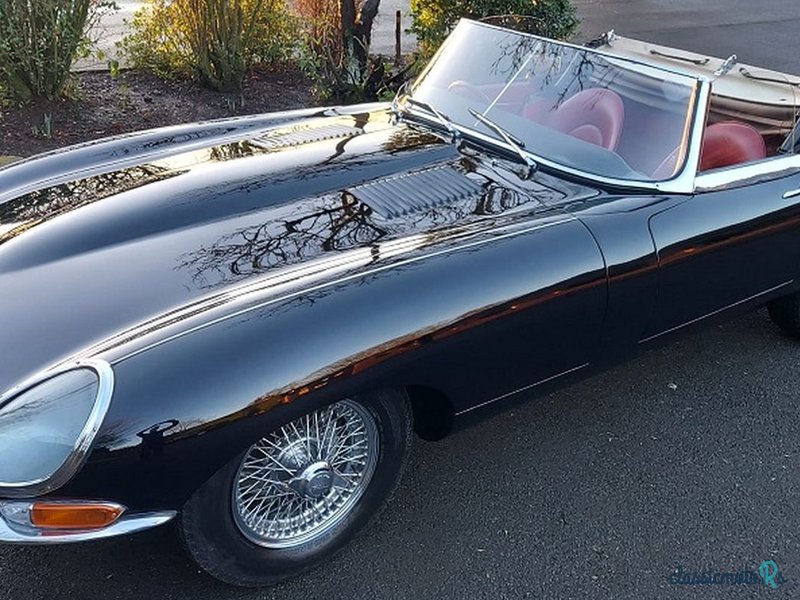 1963' Jaguar E-Type photo #2