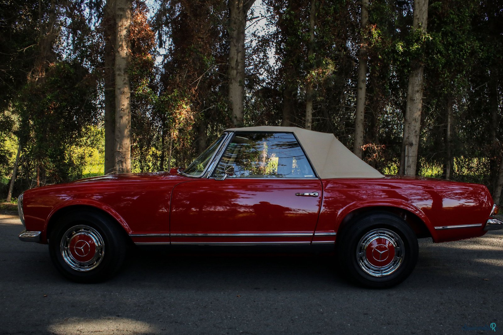 1967' Mercedes-Benz 250 photo #4