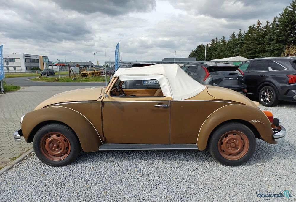 1972' Volkswagen Garbus photo #3