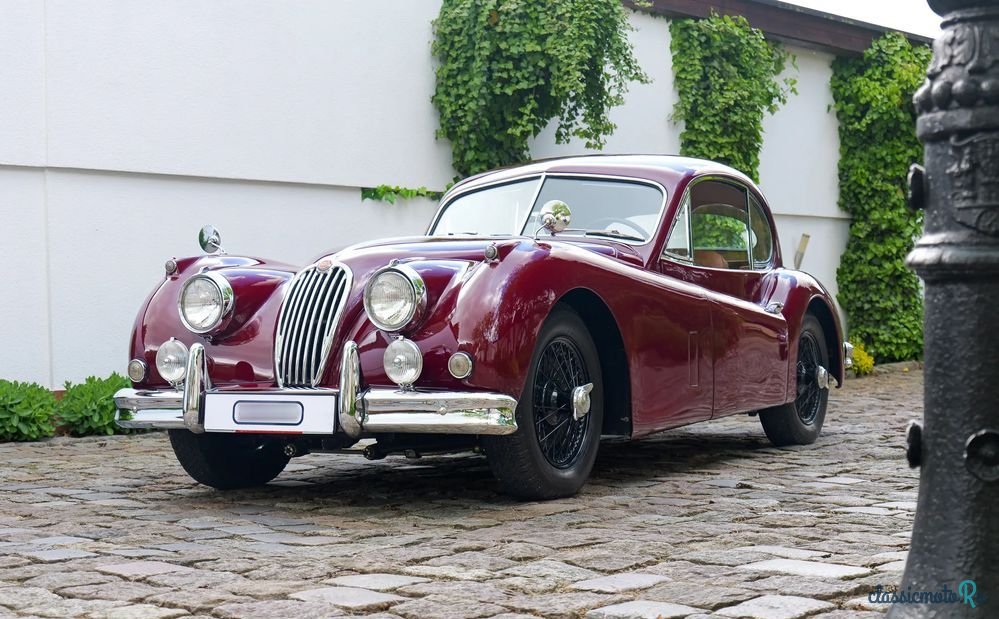 1955' Jaguar XK photo #2