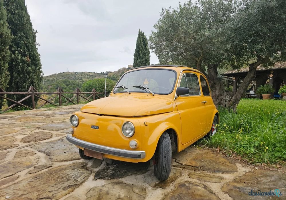 1969' Fiat 500L photo #1