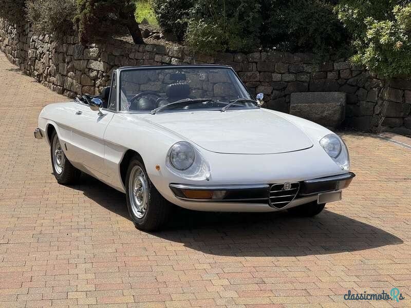 1972' Alfa Romeo Spider photo #1