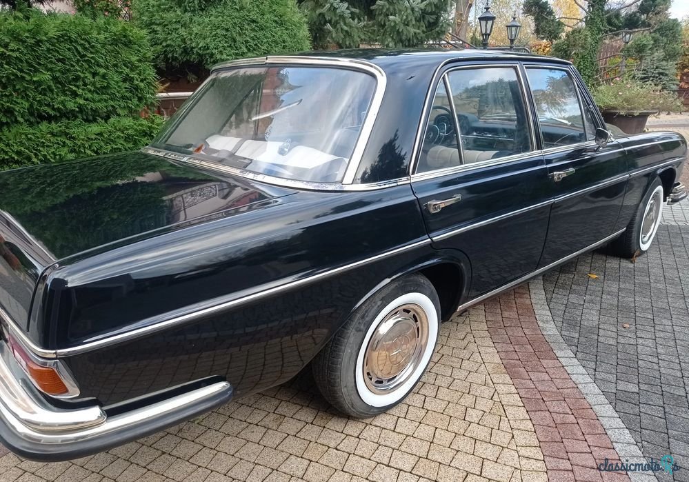 1966' Mercedes-Benz 250S W108 photo #6