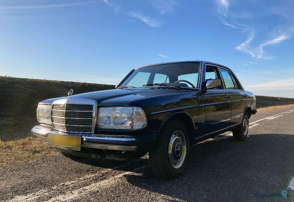 1979' Mercedes-Benz W123 photo #1