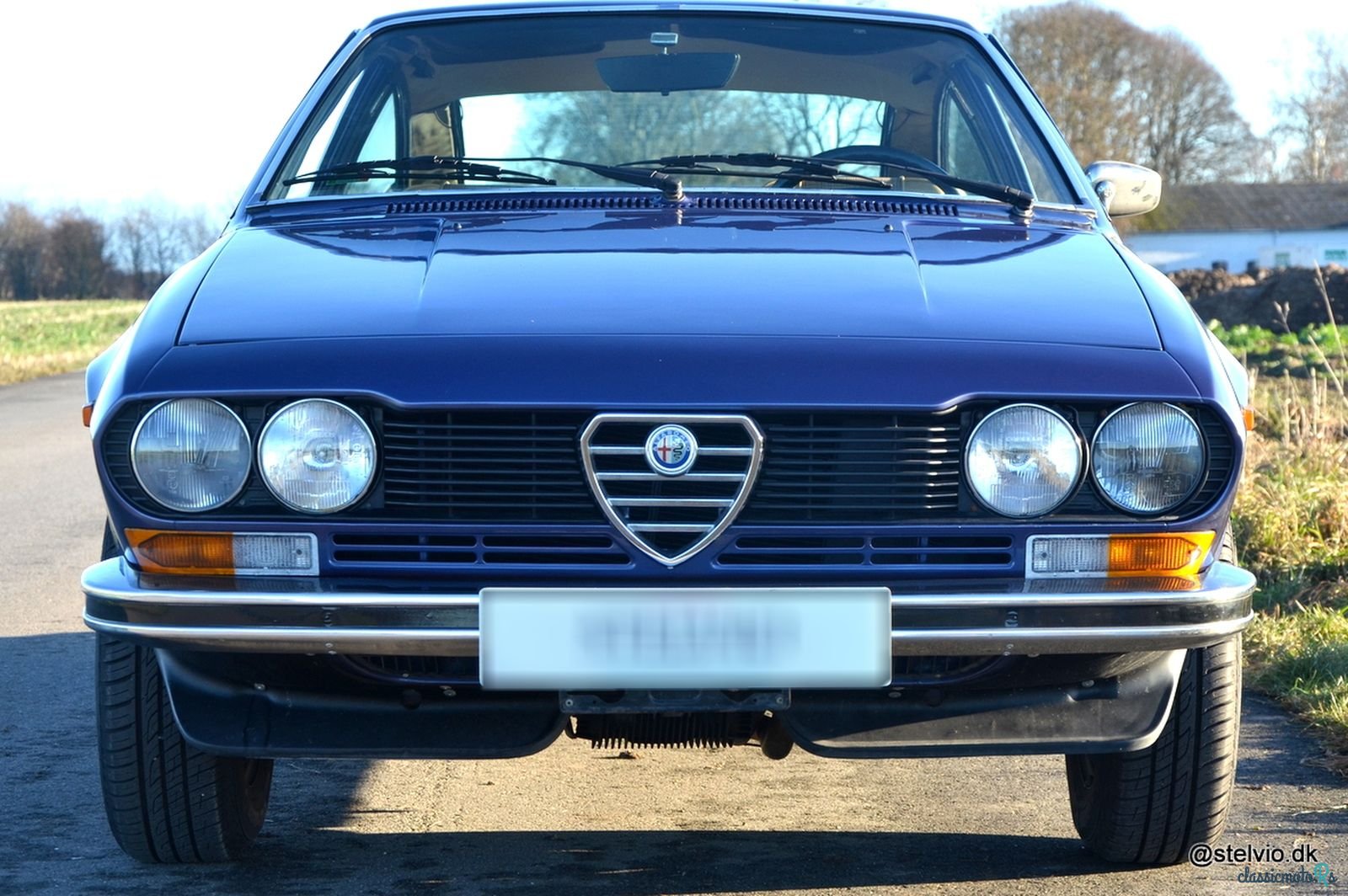 1977' Alfa Romeo Alfetta photo #3