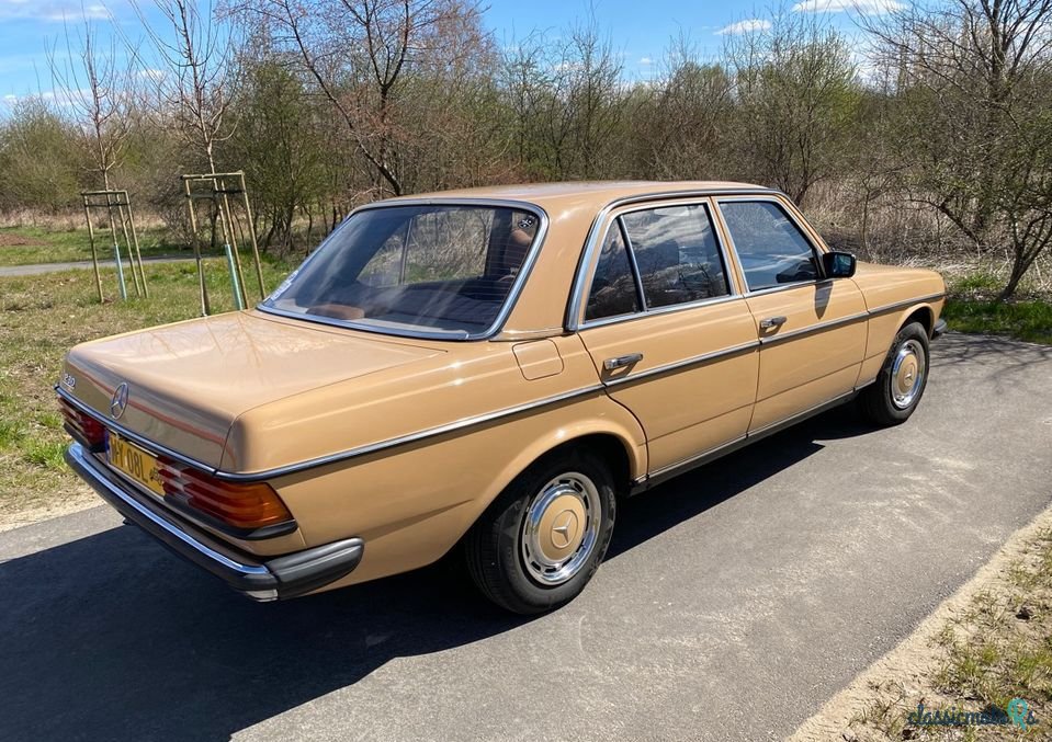 1978' Mercedes-Benz W123 photo #2