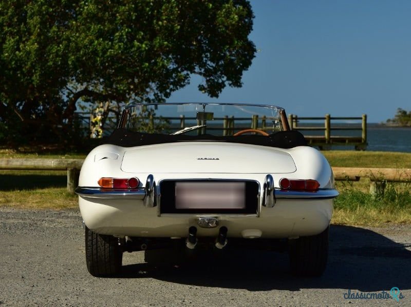 1962' Jaguar E-Type photo #5