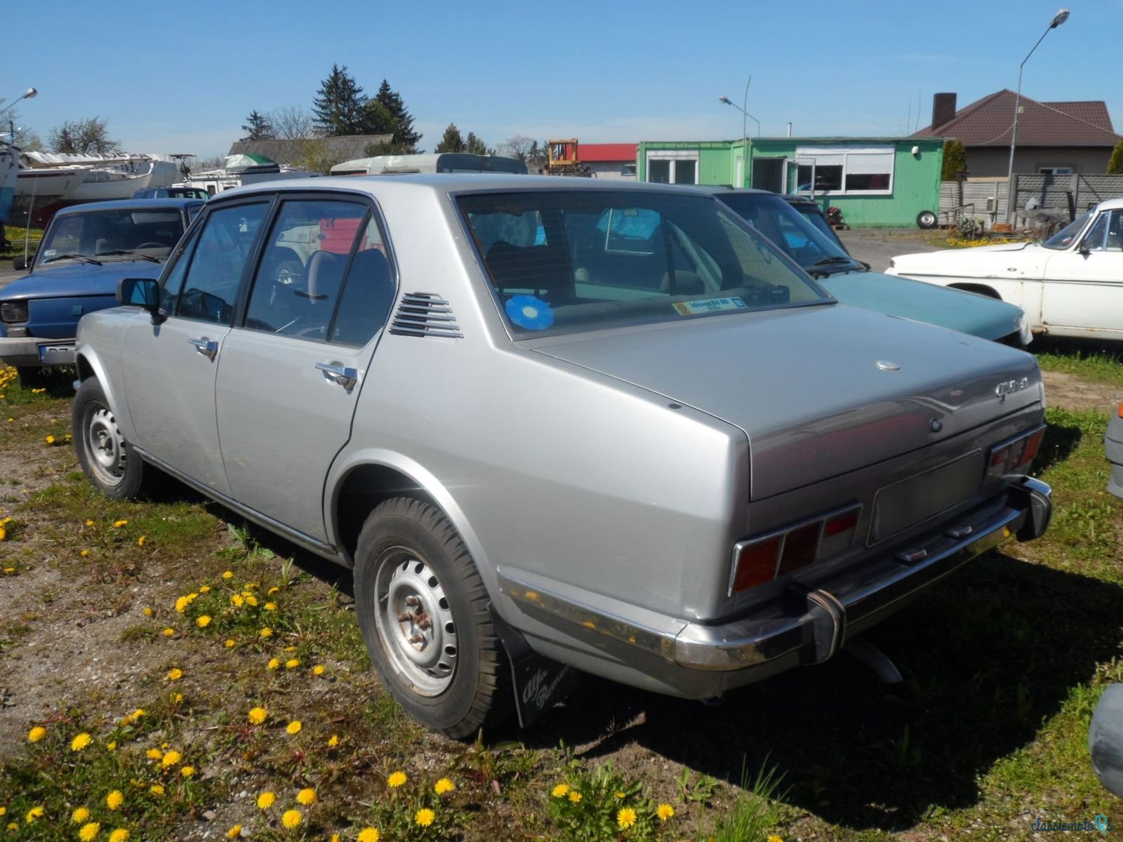 1977' Alfa Romeo Alfetta photo #4