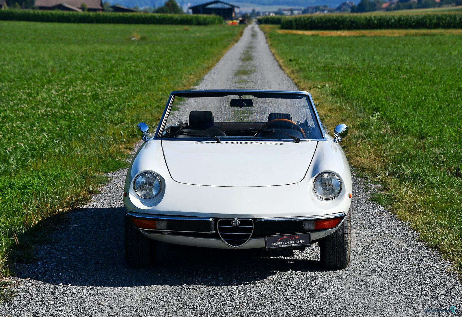 1975' Alfa Romeo Spider photo #3