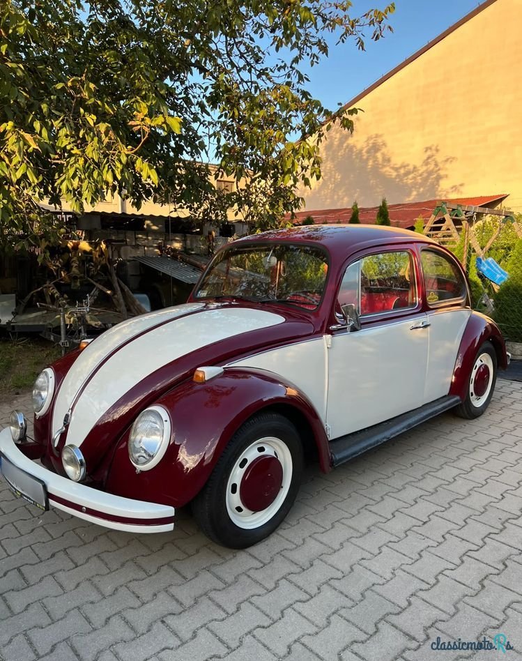 1967' Volkswagen Garbus photo #2