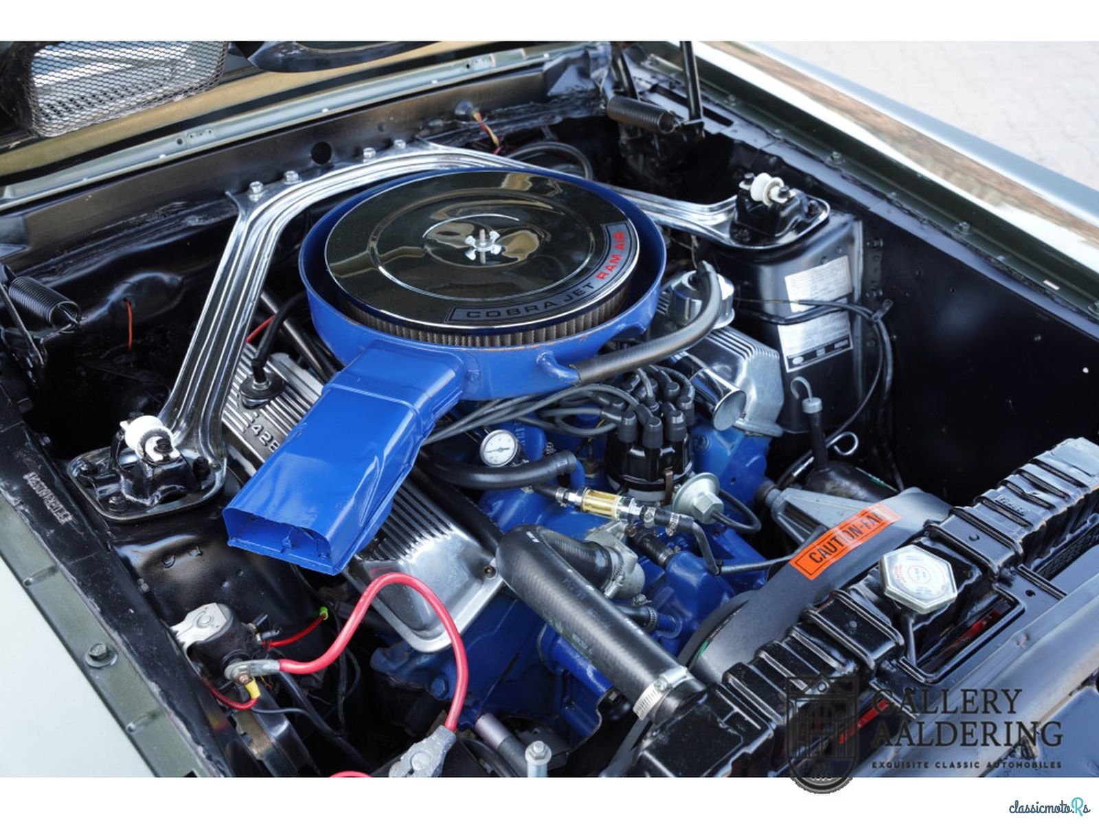 1969' Shelby GT500 photo #4