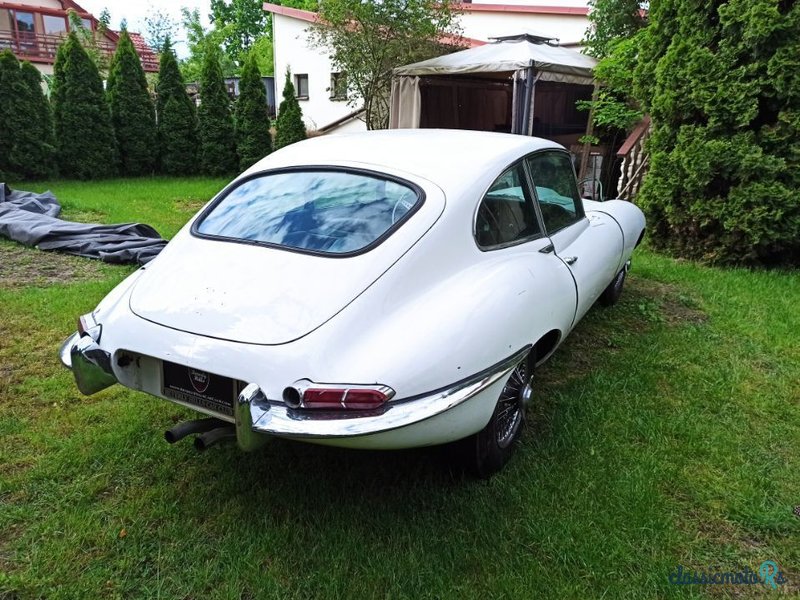 1967' Jaguar E-Type photo #2