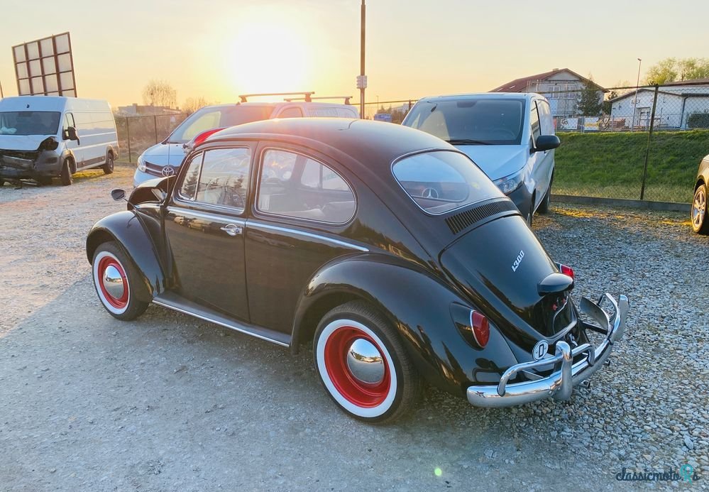 1966' Volkswagen Garbus photo #4