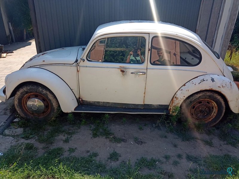 1973' Volkswagen Garbus photo #1