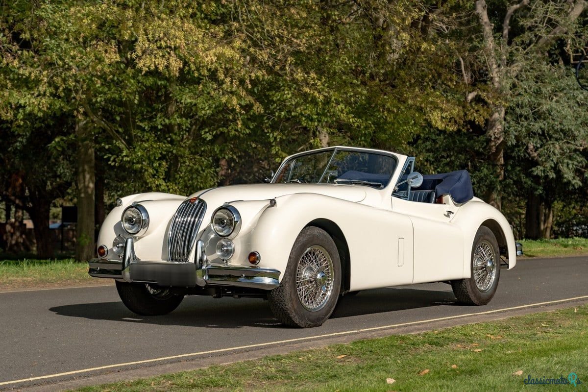 1955' Jaguar C-Type photo #1