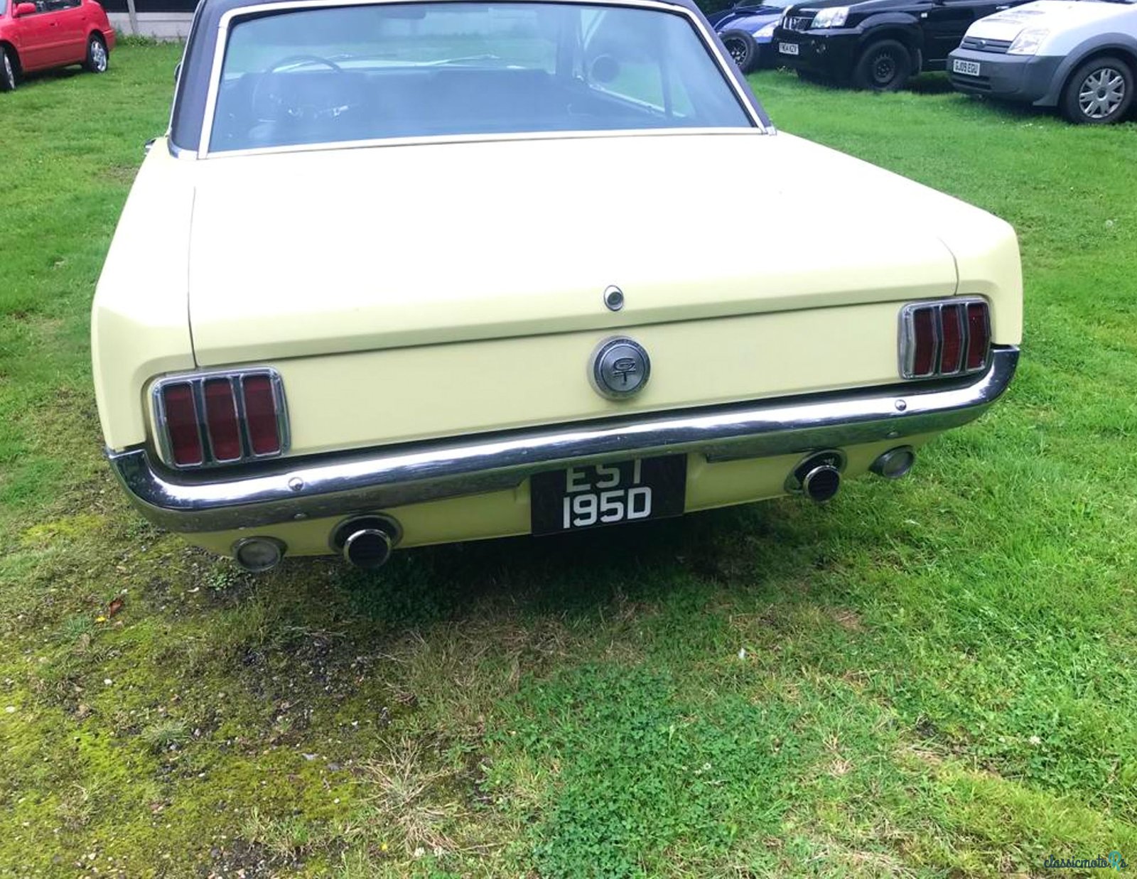 1966' Ford Mustang photo #3