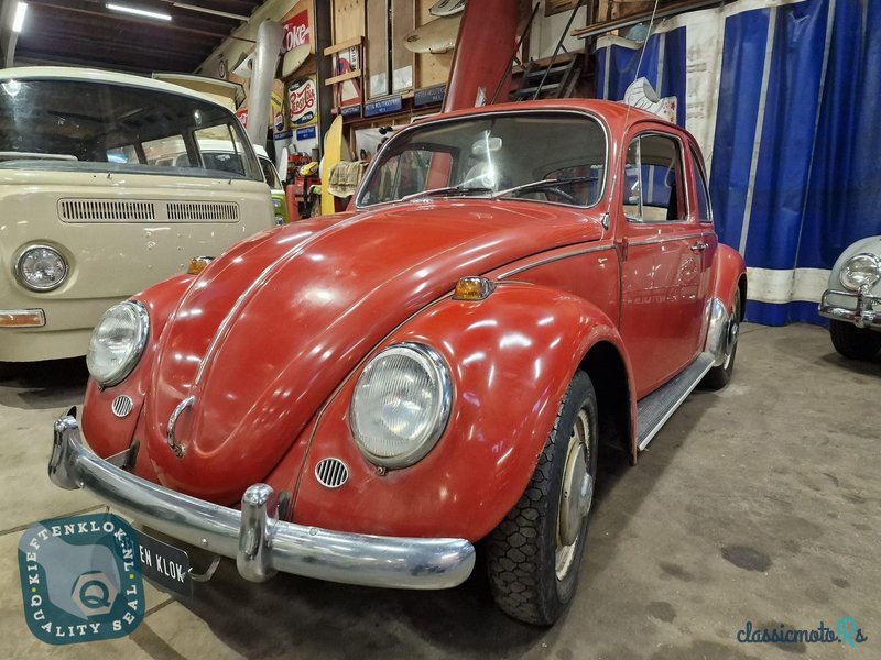 1966' Volkswagen Beetle photo #2