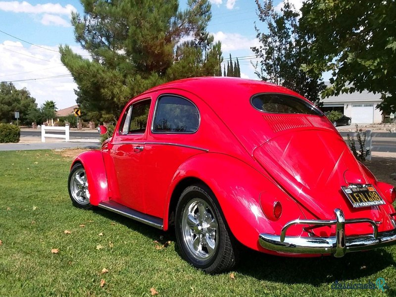 1957' Volkswagen Beetle photo #3