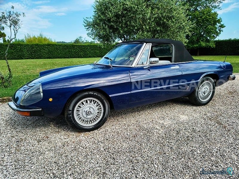 1974' Alfa Romeo Spider Duetto photo #3