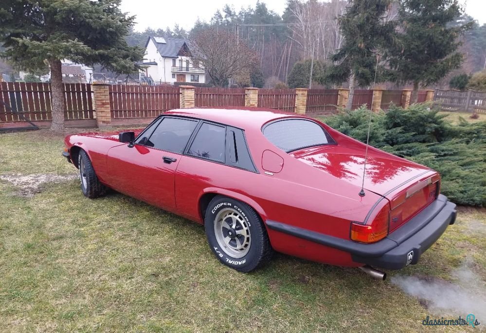 1977' Jaguar XJS photo #5