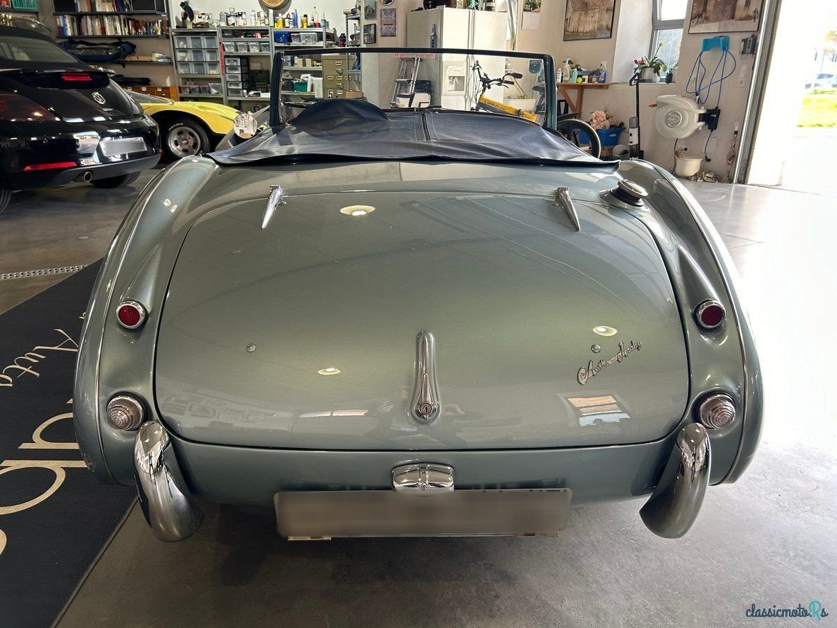 1959' Austin-Healey 3000 photo #6