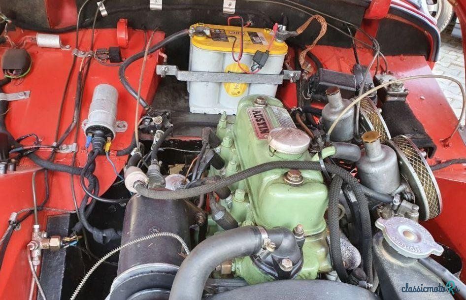 1958' Austin-Healey Sprite-Mki photo #3