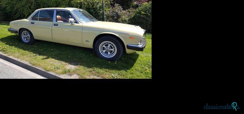 1982' Jaguar XJ12 photo #3