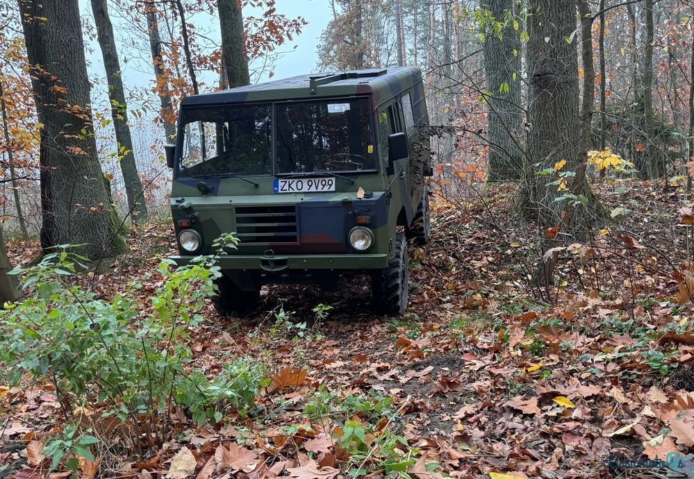 1975' Volvo C303 Laplander photo #2