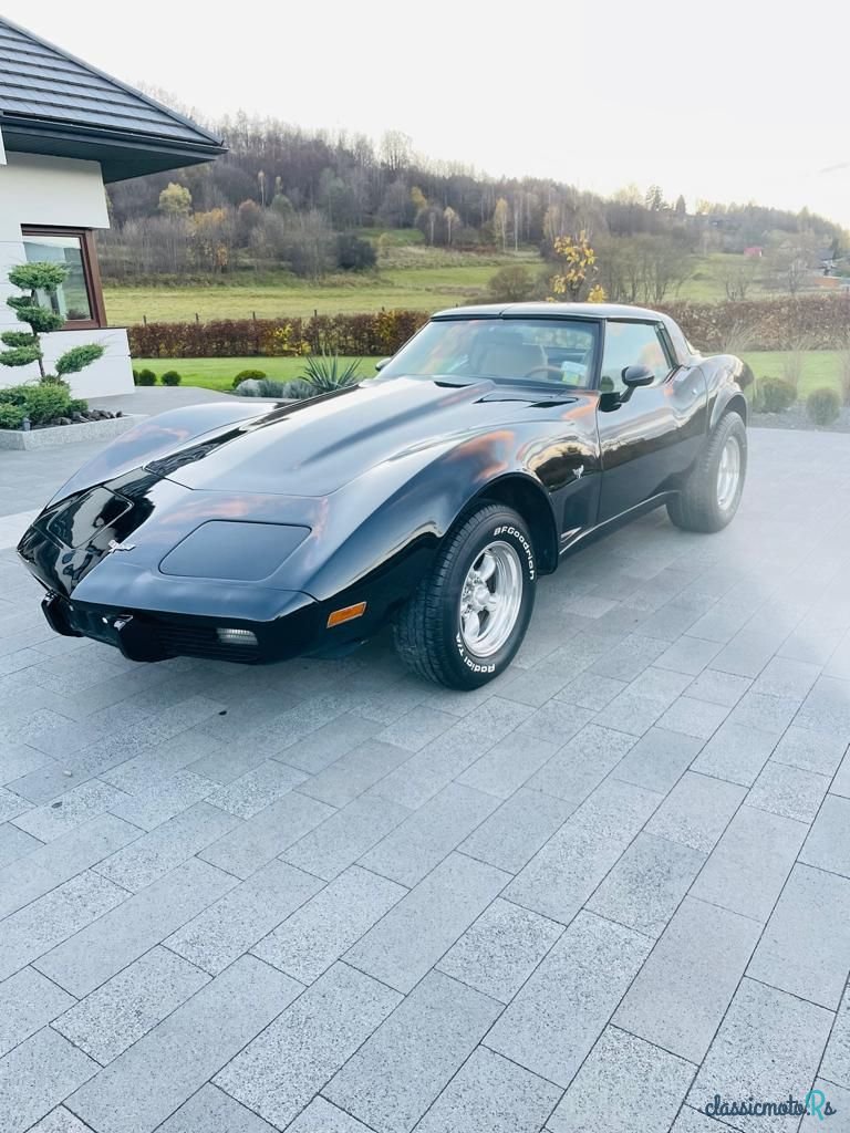 1979' Chevrolet Corvette photo #4