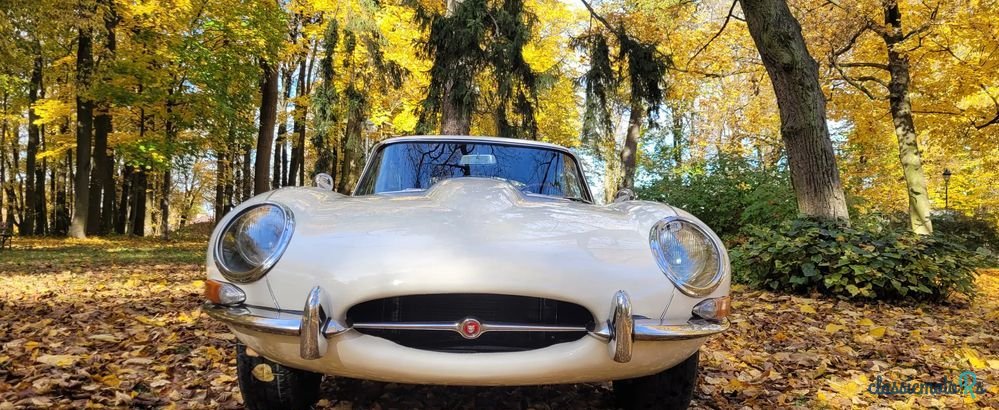 1965' Jaguar E-Type photo #2