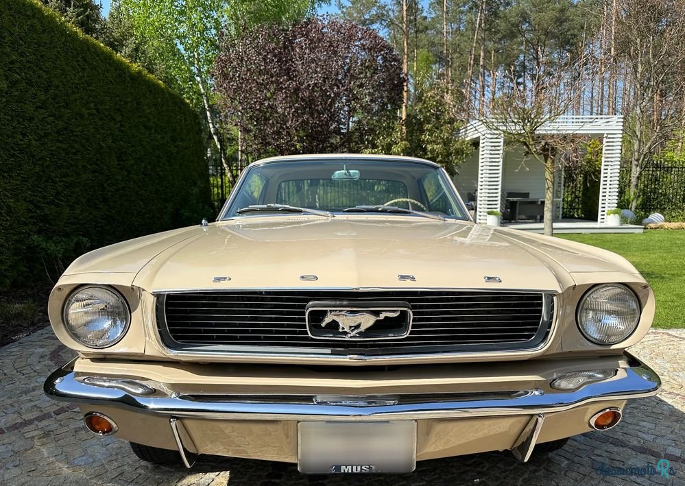 1966' Ford Mustang photo #3