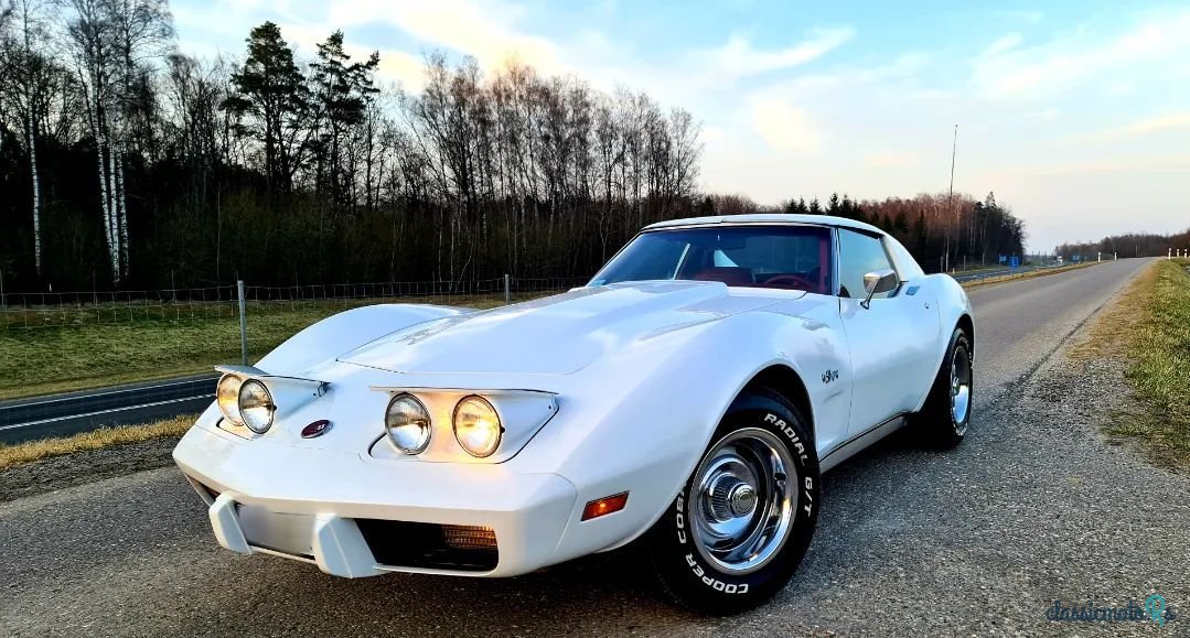 1975' Chevrolet Corvette photo #2