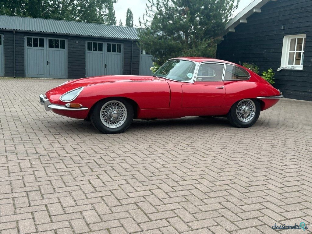 1964' Jaguar E-Type photo #1