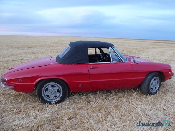1970' Alfa Romeo Spider photo #2