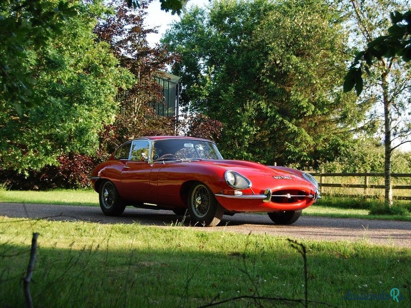1962' Jaguar E-Type photo #1