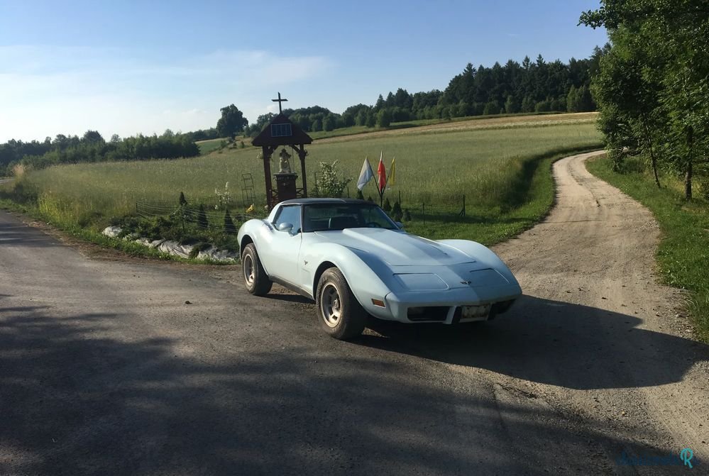 1978' Chevrolet Corvette photo #1
