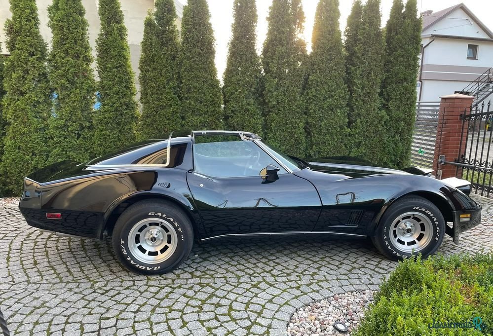 1980' Chevrolet Corvette photo #4